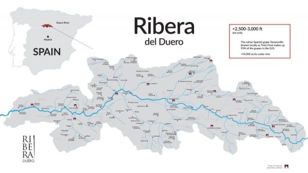 the appeal of tempranillo from ribera del duero