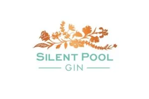 Silent Pool Logo groß 1024x683