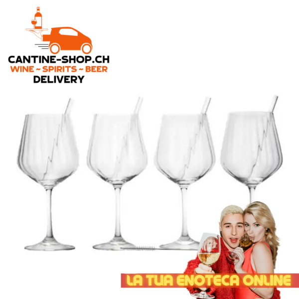 set 4 bicchieri nachtmann gin tonic + cannucce in vetro + spazzola
